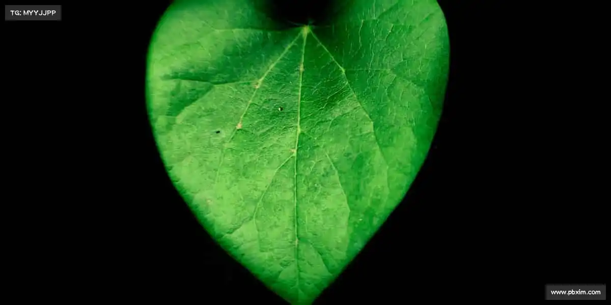 米兰体育⚽每一次挥汗,都是对自己的超越!加入我们,释放运动能量~